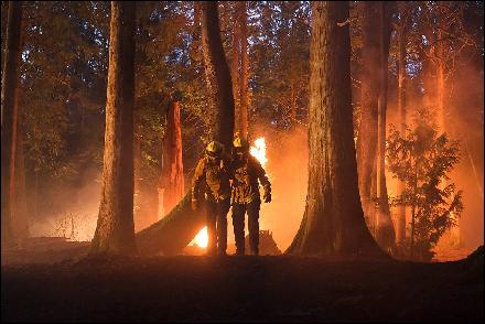 Fire-Country-1-118560 (1200x800, 143 kБ...)